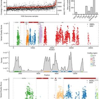 RRNA Gene Variant Discovery In The Human Genome A Coverage Of RDNA