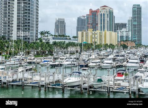 Miami beach marina in Florida Stock Photo - Alamy