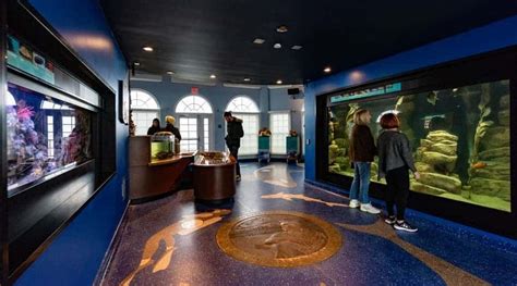 Discovery Center - Roundhouse Aquarium Teaching Center - Manhattan ...