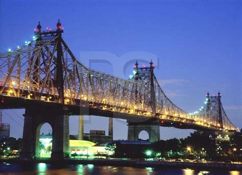 Bridges: Bridges Of New York