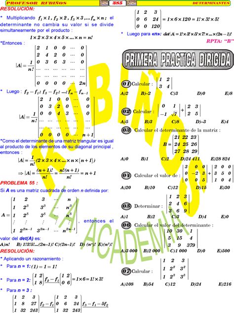 DETERMINANTES EJERCICIOS RESUELTOS ÁLGEBRA PRE RUBIÑOS PDF