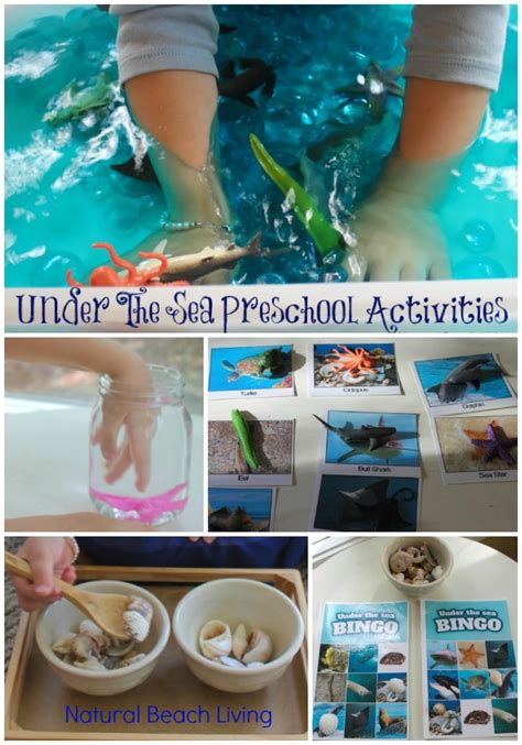 The Best Under The Sea Preschool Activities - Natural Beach Living