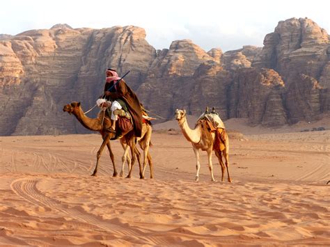 Arabische Alltagskultur Beduinen der Wüste und Händler der Bazare