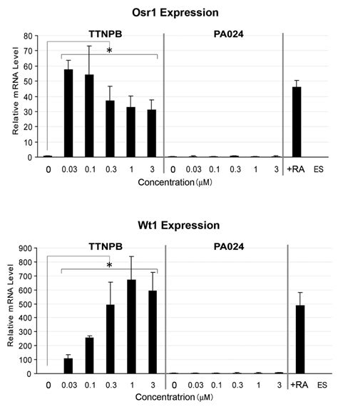 The Effect Of Retinoic Acid Receptor Rar And Retinoid X Receptor