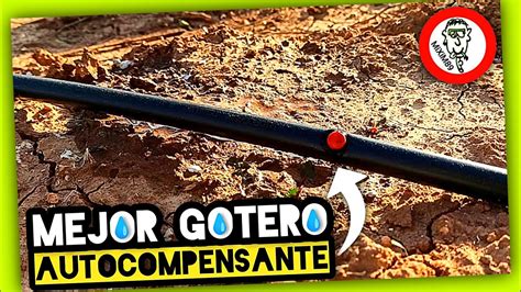 Como Instalar Riego Por Goteo En Frutales C Tricos Gotero