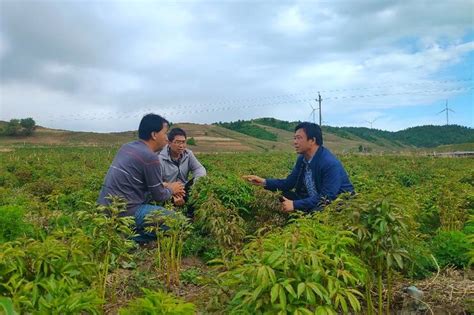 同心筑梦“燕子窝” 精准施策绘蓝图——工行助力外沟门乡大营子村脱贫攻坚