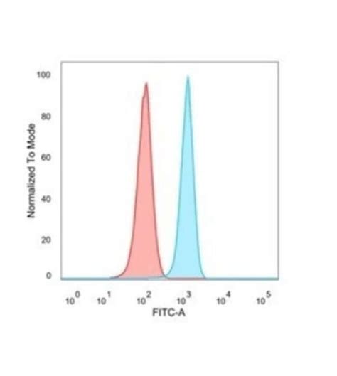 Fra Antibody Pcrp Fosl B Azide And Bsa Free Novus Biologicals