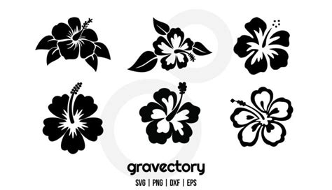 Hibiscus Hawaiian Flower Svg Bundle Gravectory