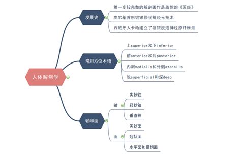 护理学怎么学思维导图带你掌握护理学