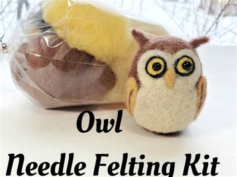 Owl Needle Felting Kit For Beginners Diy Craft Kits Etsy