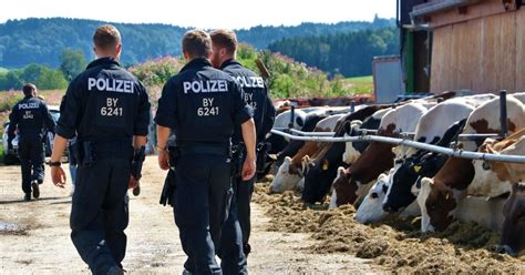 Tierschutz Skandal Wasserstoffstrategie Lost Place