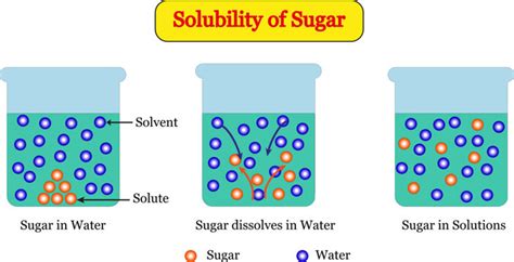 Solubility In Water