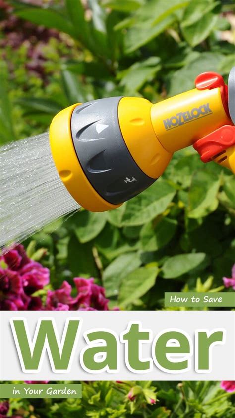 How to Save Water in Your Garden - Recommended Tips