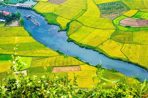 The Rice Field In Bacson Vietnam Stock Photo Image Of Lang Curve