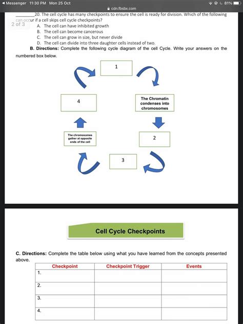 Answered 1 During Which Part Of The Cell Cycle Bartleby