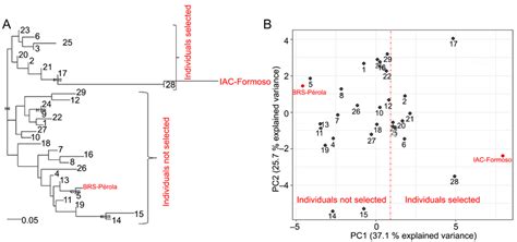 Neighbor Joining Dendrogram From Nei S 1978 Genetic Distance