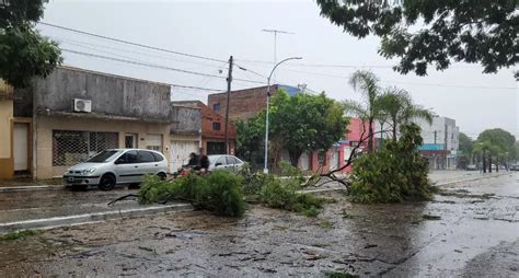 Se recomienda circular con precaución por la caída de ramas y árboles