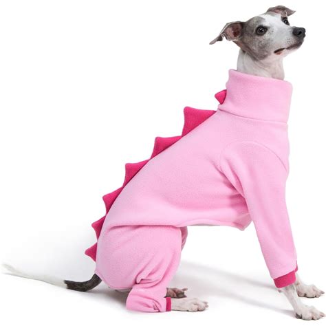 italian greyhound outfit 6