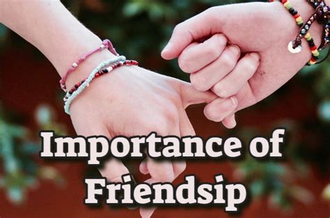 The Importance Of Friendship Understanding Why Friendship Is Important