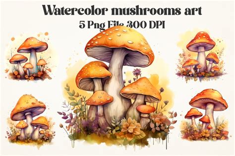 Watercolor Mushrooms Sublimation Png Bundle