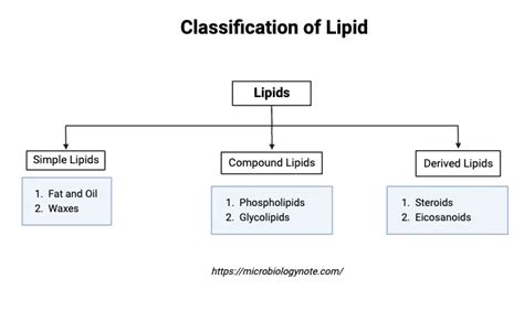 Classification Of Lipid Biology Notes Online