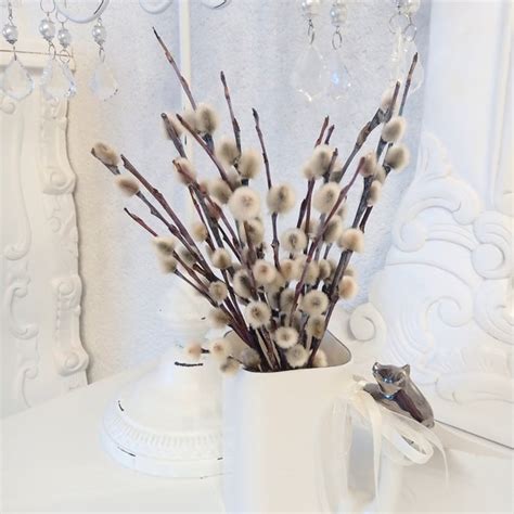 Pussy Willow Branch Etsy