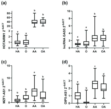 Differential Expression Of Long Noncoding Rnas Hotairm1 Gas5 Download Scientific Diagram