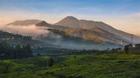 Mount Gede Pangrango The Beautiful National Park In West Java