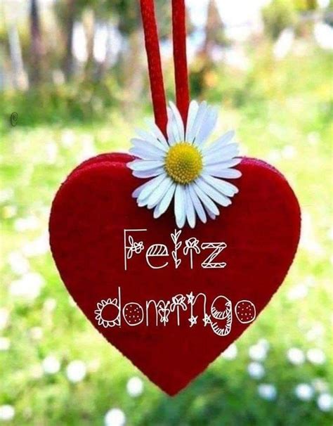 Pin de Carmen G en buenos días Imagenes feliz domingo Feliz domingo