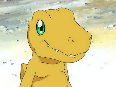 Agumon Wallpaper