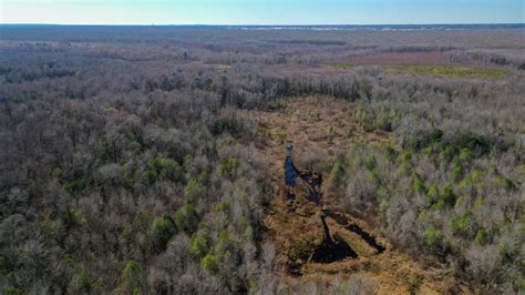 Twiggs County Ga 255 Acres Green Hill Land And Forestry