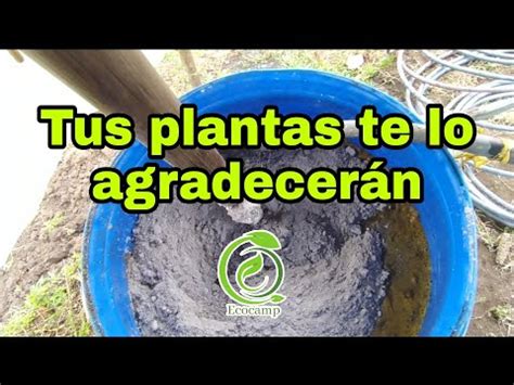 Cómo hacer fertilizante orgánico biol con estiércol de vaca YouTube