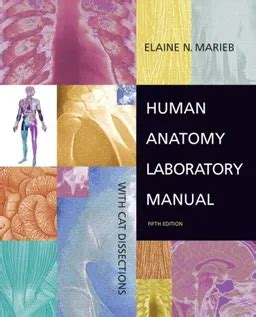 Human Anatomy Lab Manual Cat Dissection Marieb