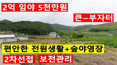 5천만원 보전관리 2차선접 남향 싼임야 큰~부자터~ 편안한전원생활 숲야영장캠핑교회탠트고기집6차산업160개 소나무조경수2894억