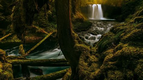 Nature Long Exposure Waterfall Pine Trees Lake Tahoe Hd Wallpaper