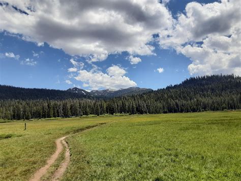 Wildflowers Ride Tahoe Rim Trail