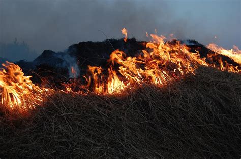 Incendie à Saint Marcel De Félines 5 Hectares De Végétation Ont Brûlé