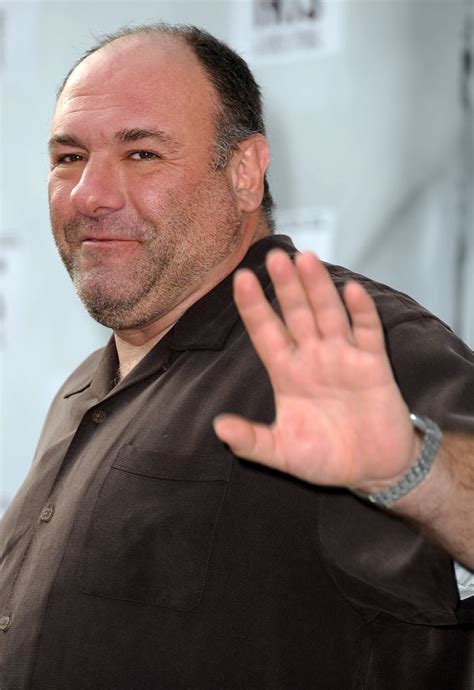 Murió La Estrella De “los Soprano” James Gandolfini Muerte De Famosos