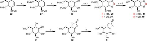 Conformational And Electronic Variations In 1 2‐ And 1 5a‐cyclophellitols And Their Impact On