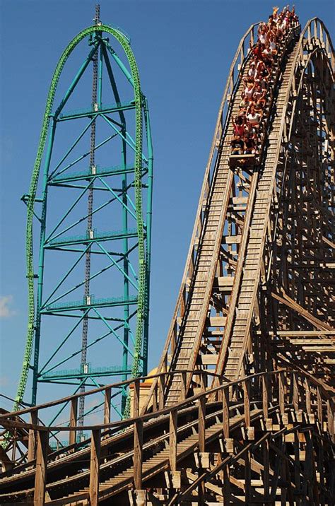 El Toro Amusement Park Rides Thrill Ride Roller Coaster