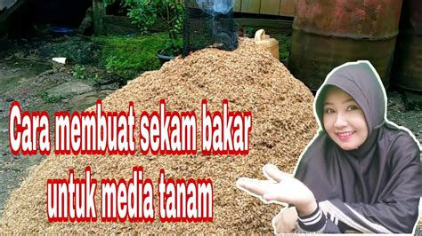 Cara Membuat Sekam Bakar Yang Benar Untuk Media Tanam YouTube