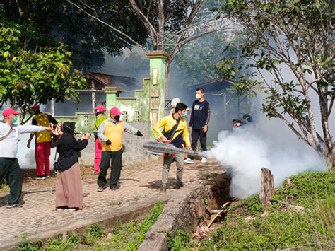 Cegah Dbd Dinkes Kotabaru Lakukan Fogging Di Desa Sebelimbingan