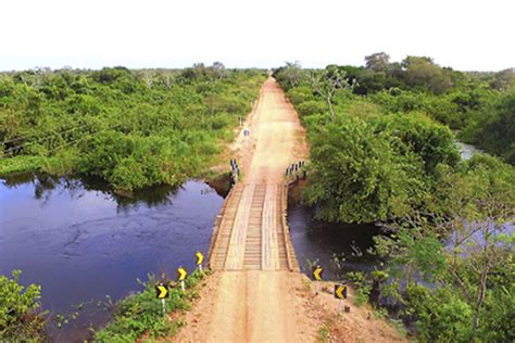 Descubra As Belezas Do Pantanal Na Estrada Parque Viva Bonito