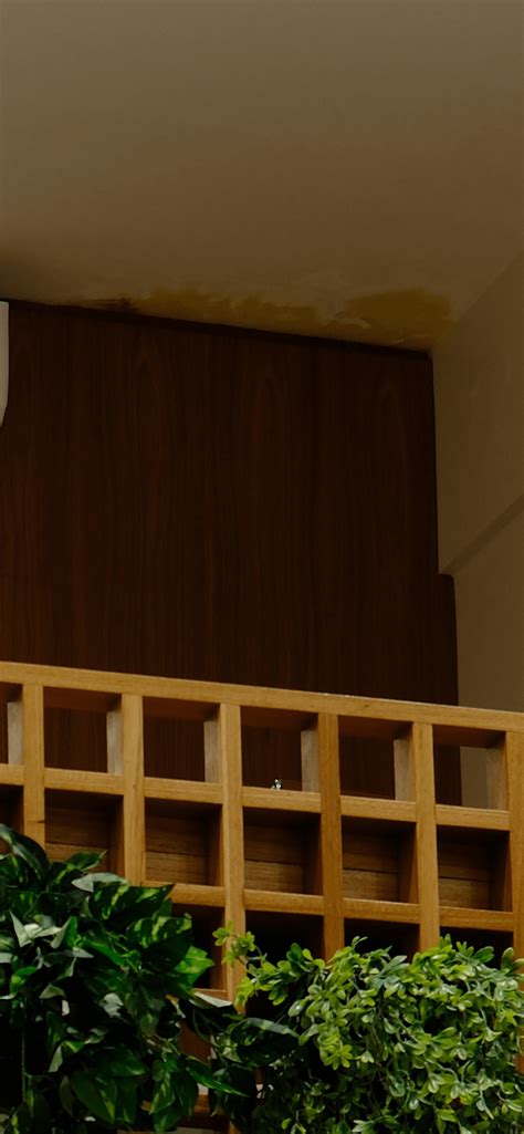 Painting over leak damage : r/DIY