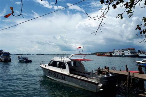 Sewa Speed Boat Di Raja Ampat Update October 2024