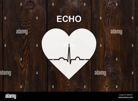 Heart shape with echocardiogram and ECHO text. Health or cardiology ...