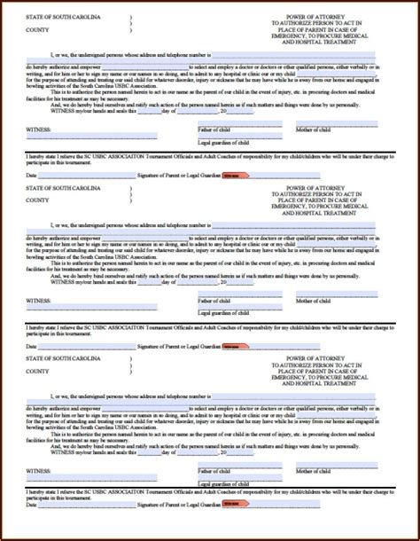 Power Of Attorney Form South Carolina Dmv Form Resume Examples