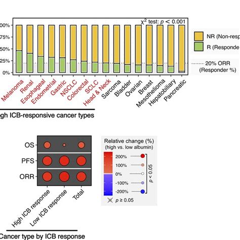 Impact Of Increasing Serum Albumin Levels On Immune Checkpoint Blockade