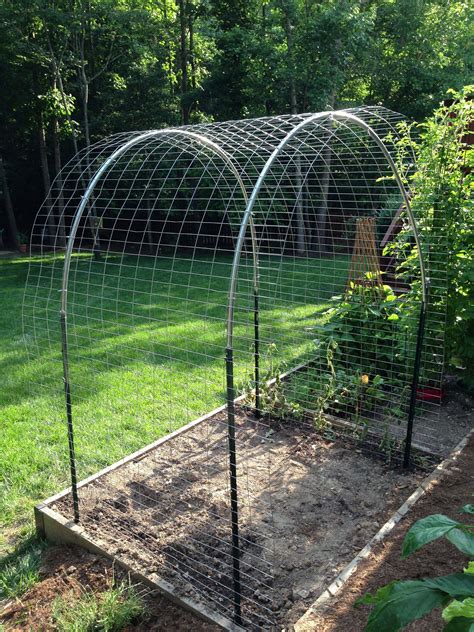 Diy Pvc Garden Trellis Arch Ideas You Should Check Sharonsable