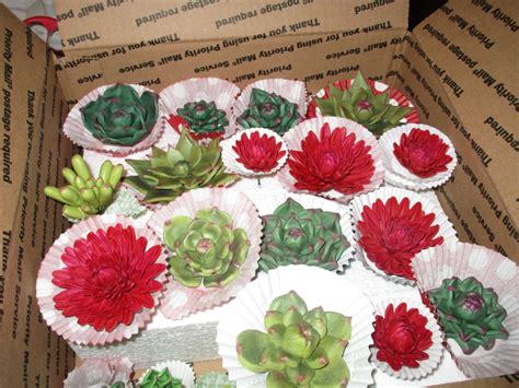 Naked Rustic Succulents Cake Cakecentral